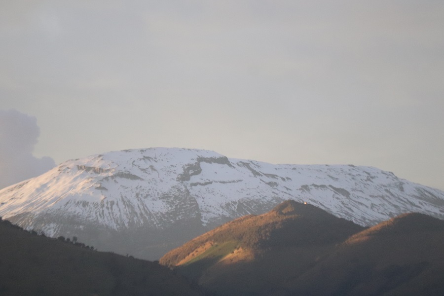 Detalles de la flora y fauna del ecosistema