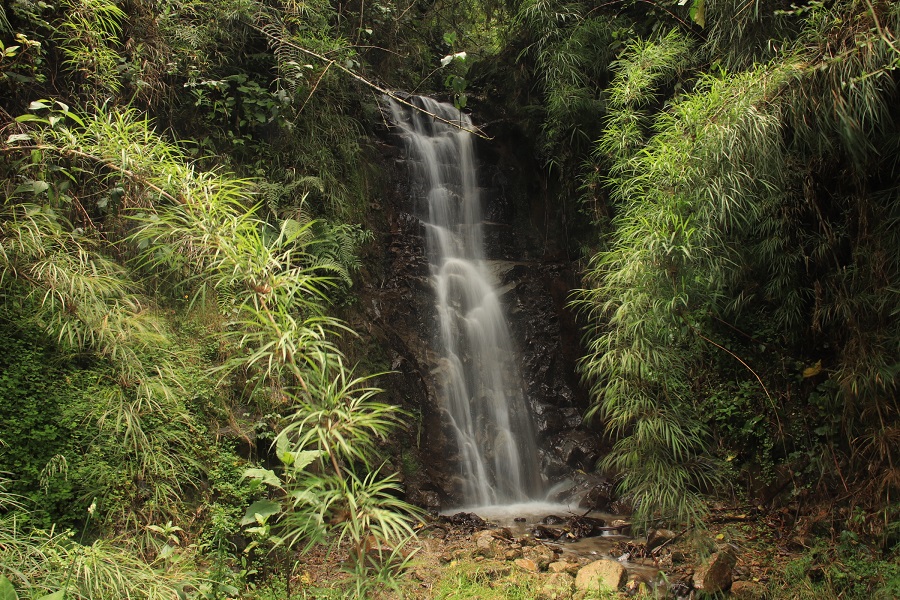 Cascada de la Palma - Imagen 1