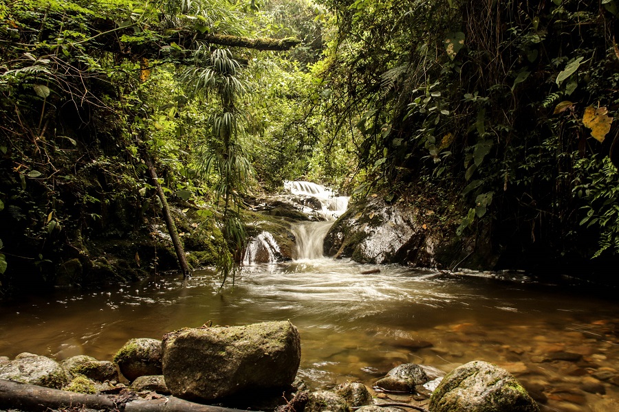 Primer Cascada - Imagen 1